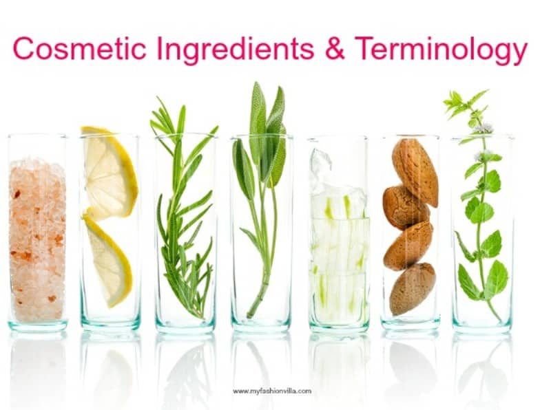 Cosmetic Ingredients & Terminology for Skincare & Makeup Products – My Fashion Villa